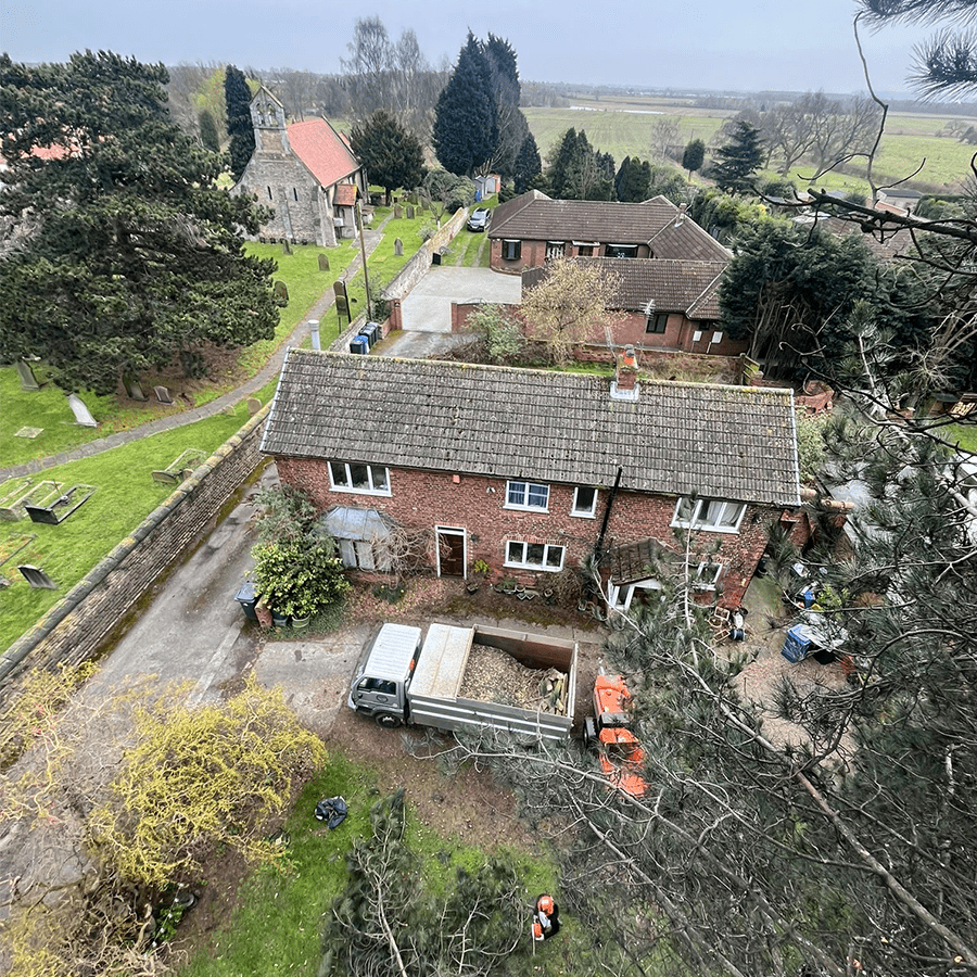 Domestic Tree Removal