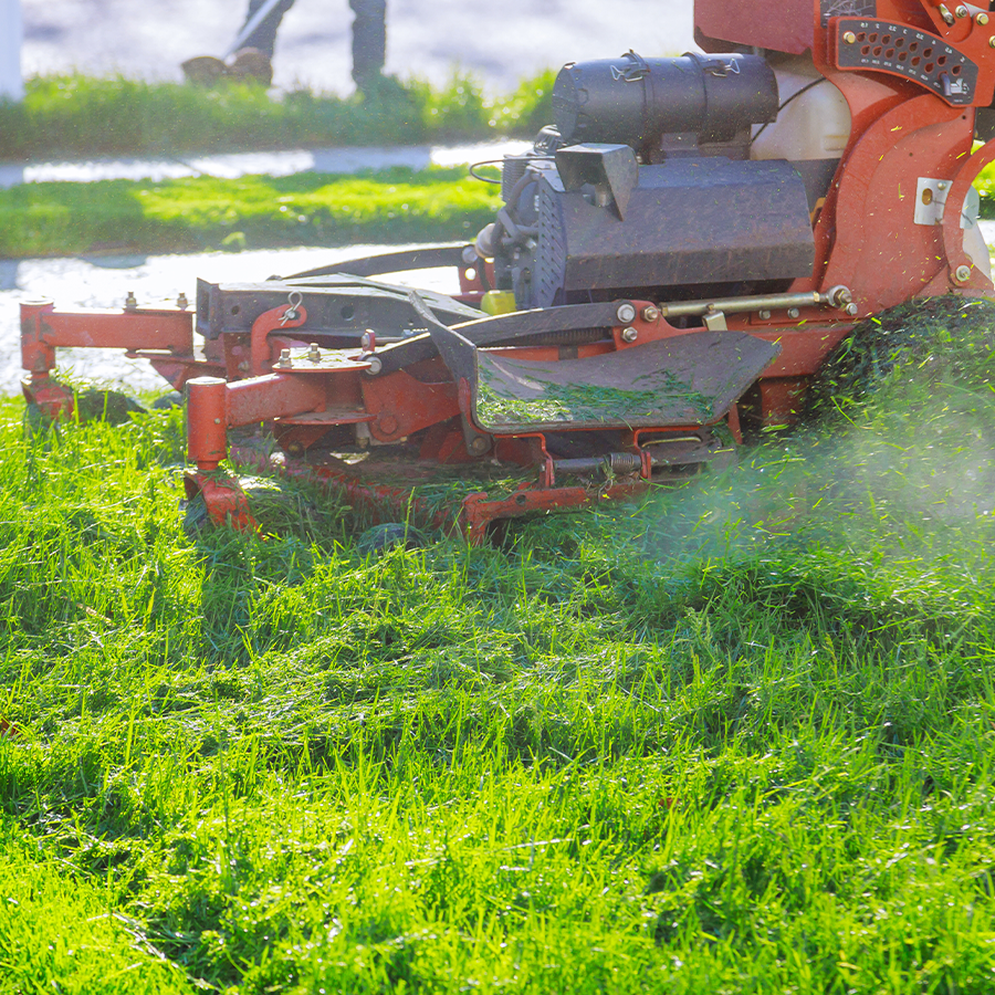 Commercial Grounds Maintenance