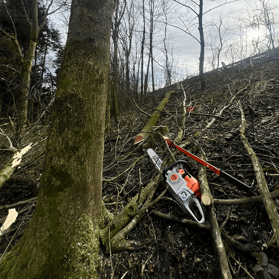 Commercial Vegetation Management