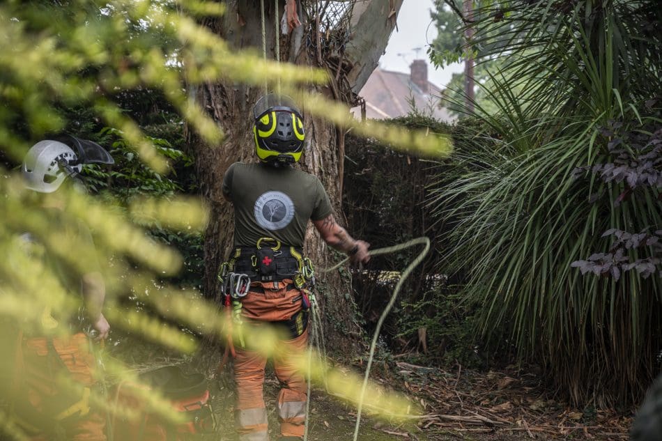 How All About Arb’s Sustainable Practices Benefit Doncaster’s Environment