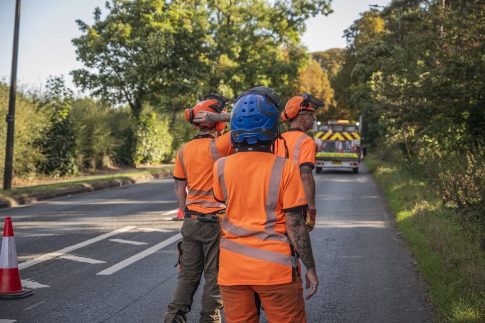 A Guide to Tree Preservation Orders (TPOs) in Doncaster