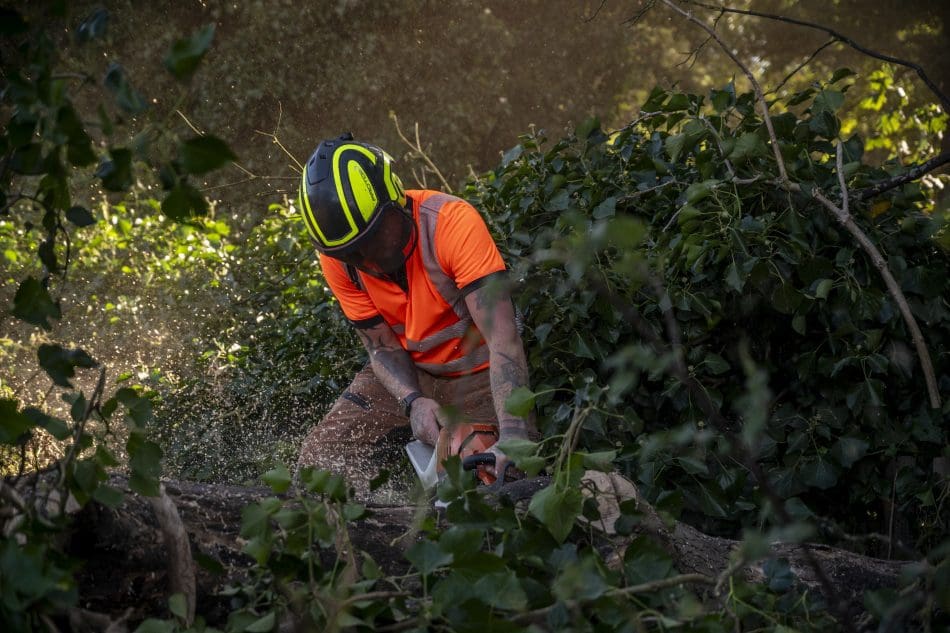 Why Hire a Professional Tree Surgeon in Doncaster?